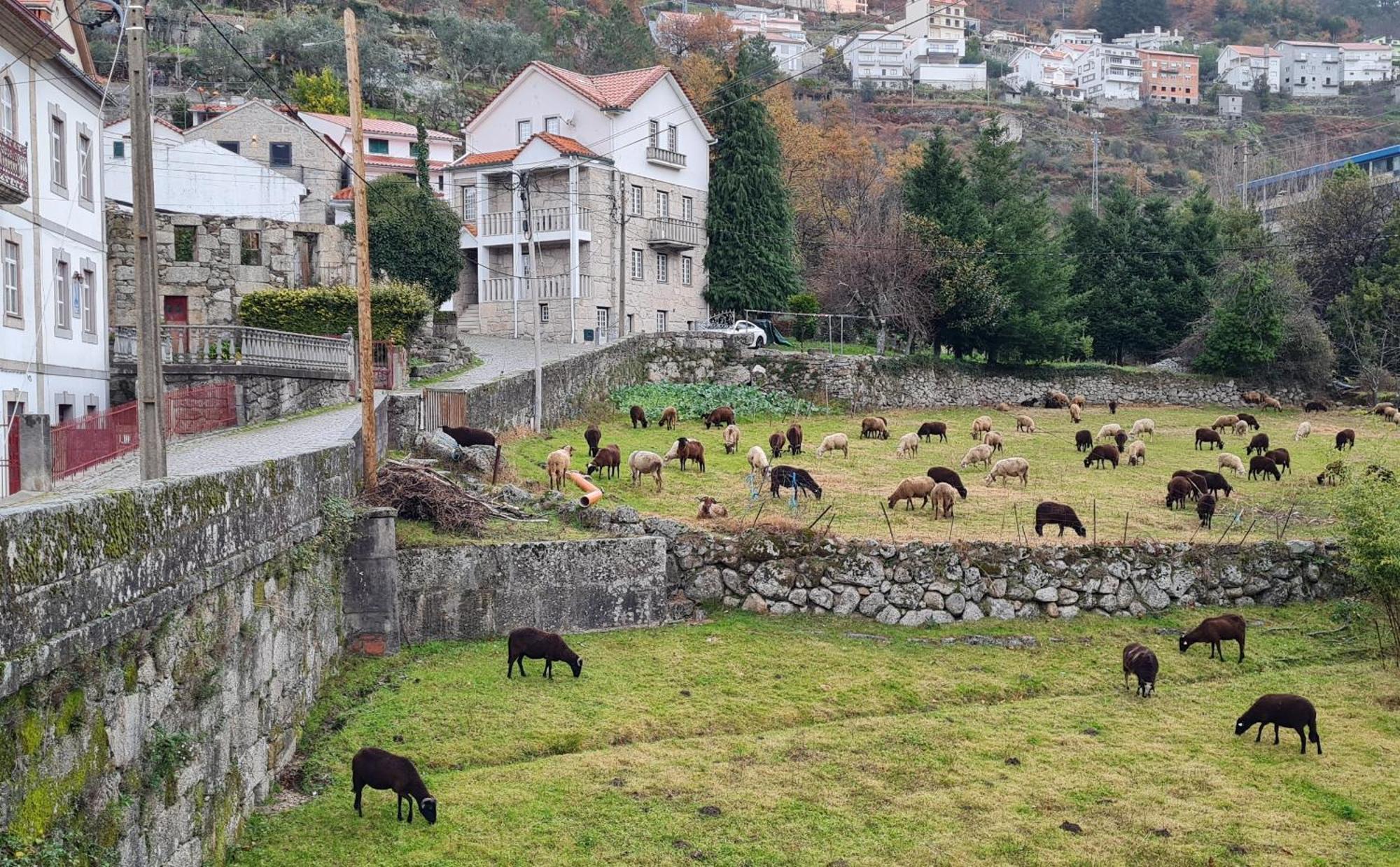 Casa Da Cantareira 洛里加 外观 照片